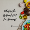 What is the Optimal Diet for Humans?