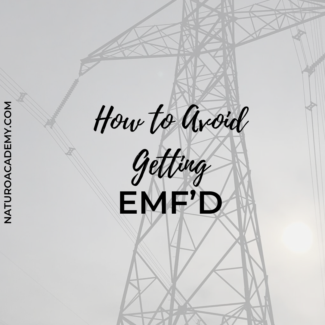 How to Avoid Getting EMF'd – NaturoAcademy